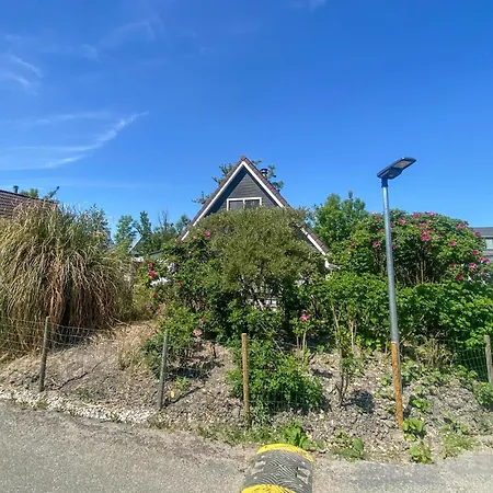 De Zeemeeuw * Sint Maarten
