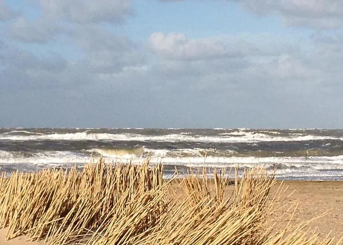 De Zeemeeuw Sint Maarten